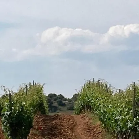 La Ren Lecres Piscina Jardin *