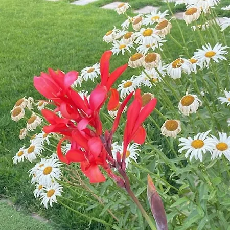 La Ren Lecrés Piscina Jardin Appartement