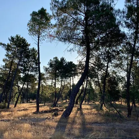 La Ren Lecres Piscina Jardin