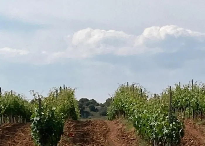 La Ren Lecres Piscina Jardin *