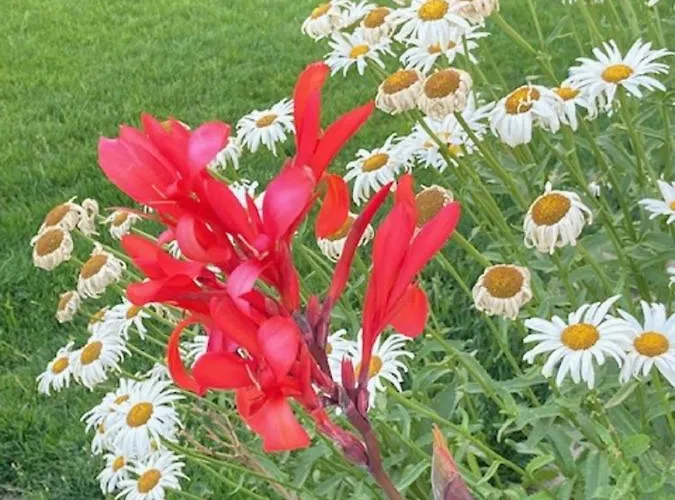 La Ren Lecres Piscina Jardin Apartman