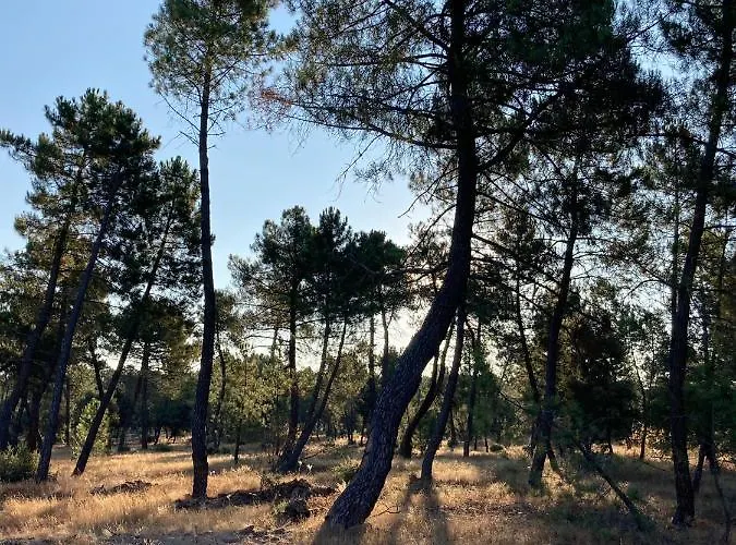 La Ren Lecres Piscina Jardin